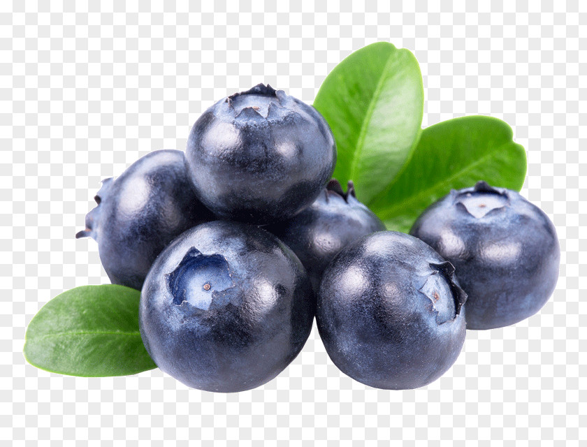 Juice Blueberry Tea Organic Food PNG
