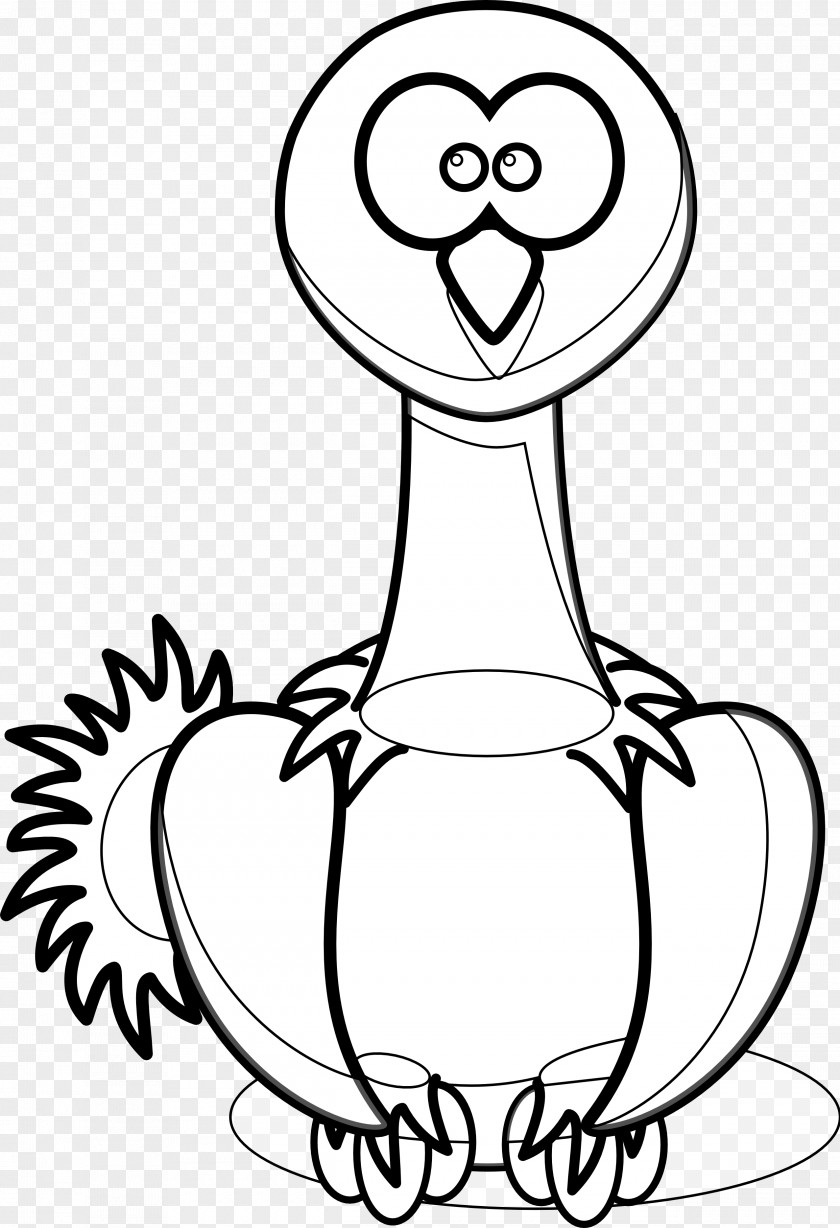 Ostrich Common Cartoon Bird Clip Art PNG