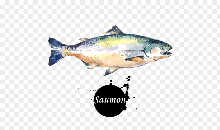 Painting Watercolor Coho Salmon Art PNG