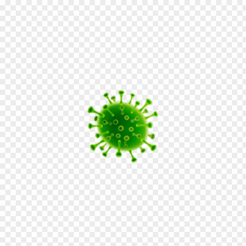 Quarantine Coronavirus Plant Stem Manuel S. Enverga University Foundation Candelaria PNG