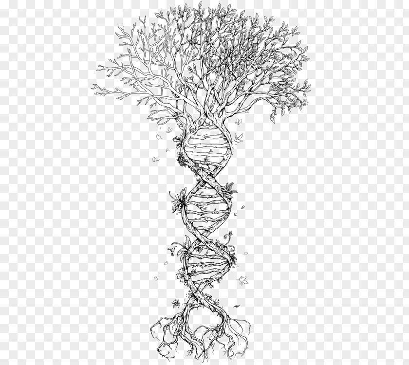 Watercolor Colorful Tree Of Life The Double Helix: A Personal Account Discovery Structure DNA Nucleic Acid Helix Genetics PNG