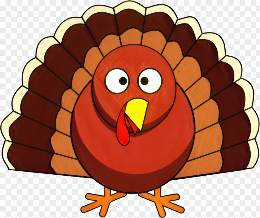 Beak Bird Thanksgiving Turkey Drawing PNG