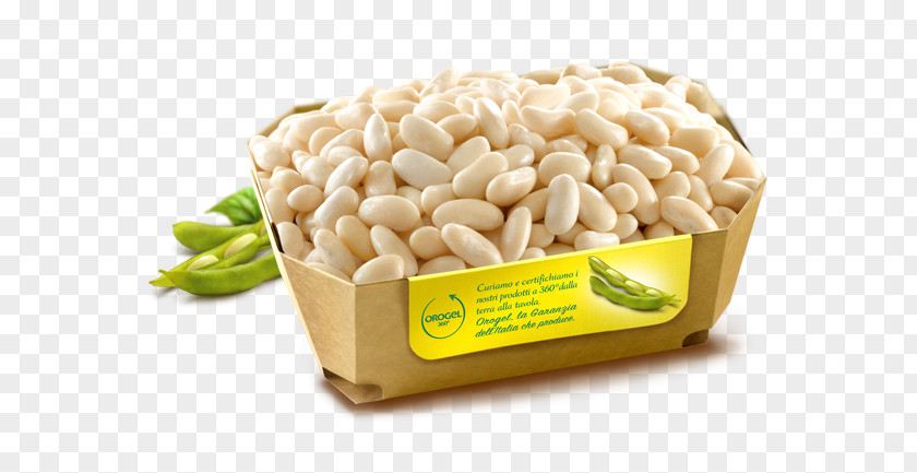 Beans Vejitble Peanut Vegetarian Cuisine Flavor Commodity PNG