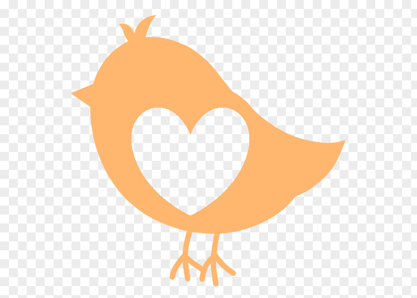 Bird Drawing Clip Art PNG