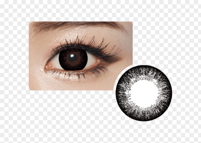 Contact Lenses Circle Lens Eye Grey PNG