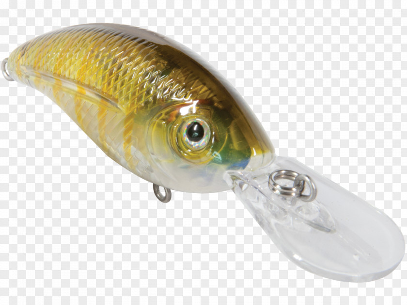 Fishing Baits & Lures Perch Osmeriformes Oily Fish PNG