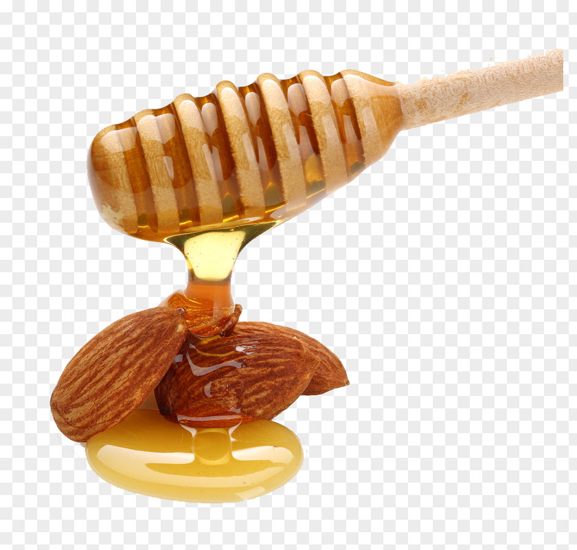 Honey Creative Photos Bee Ingredient Almond Biscuit Turrxf3n PNG