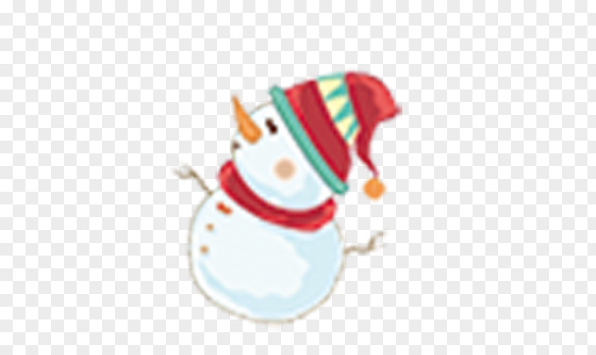 Snowman Winter Elements Christmas PNG