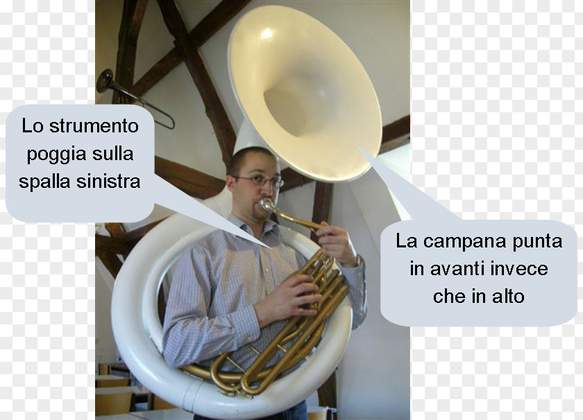 Trumpet Tuba Sousaphone Bass Euphonium PNG