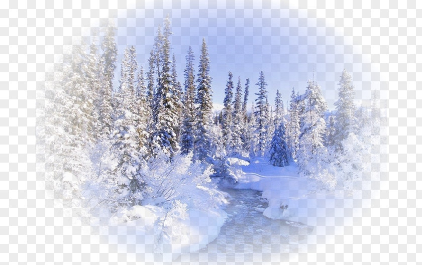 Winter Desktop Wallpaper Metaphor Forest PNG
