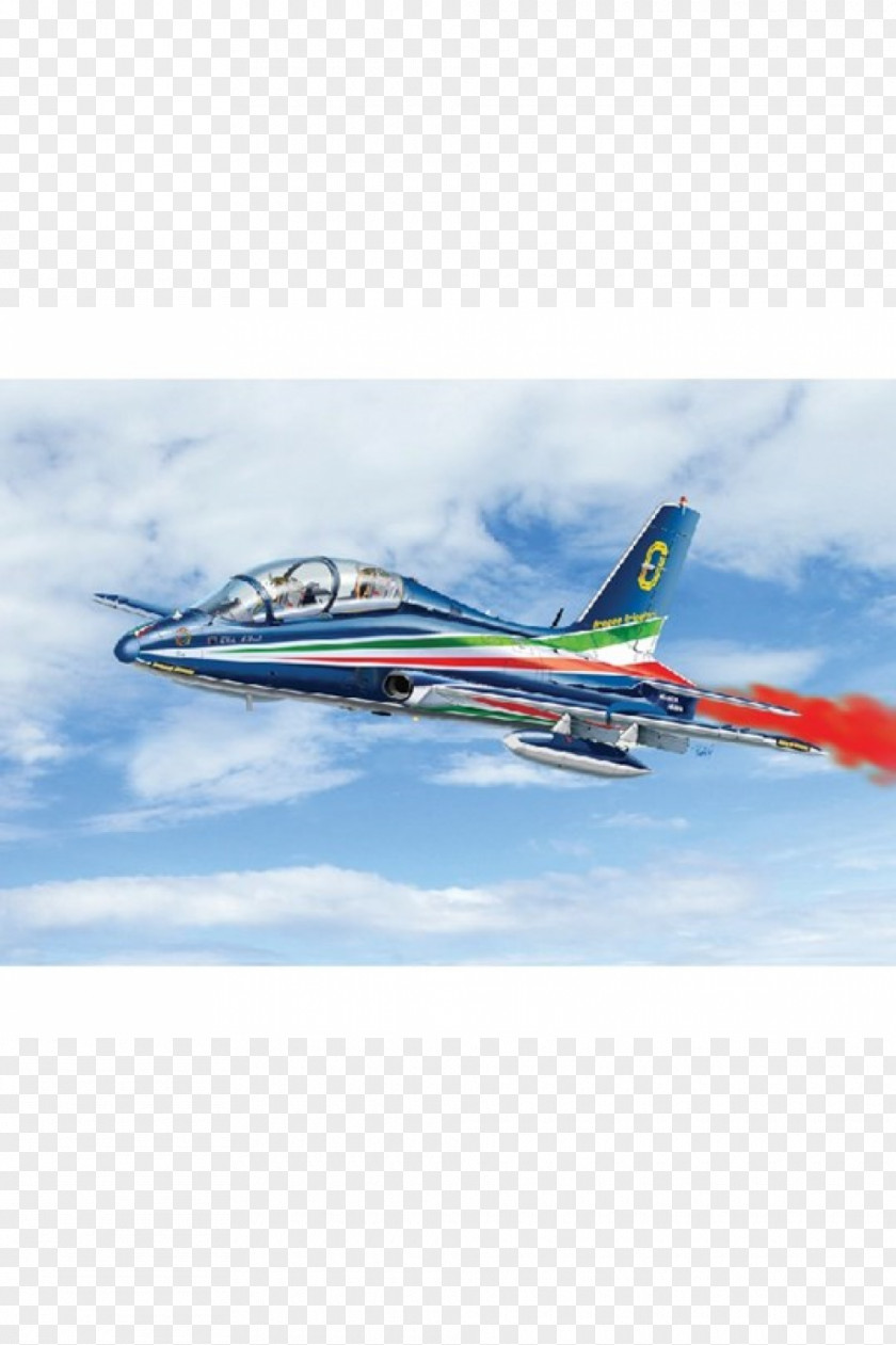 Airplane Frecce Tricolori Aermacchi MB-339 Aircraft MB-326 PNG