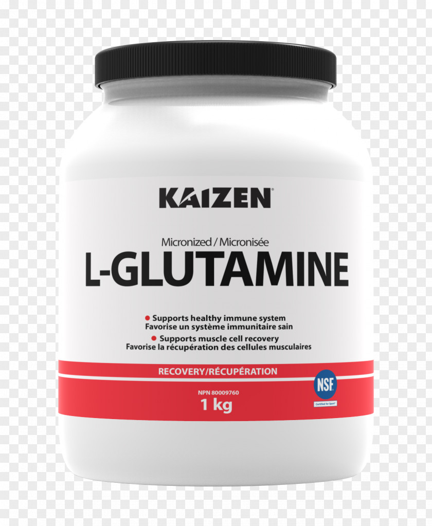 Bcaa Dietary Supplement Creatine Glutamine Whey Protein PNG