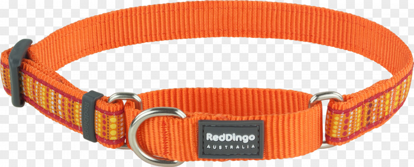 Dog Collar Dingo Martingale PNG