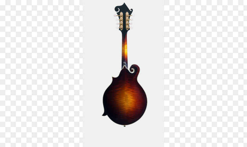 Guitar Mandolin Violin Gibson Brands, Inc. Musical Instruments PNG