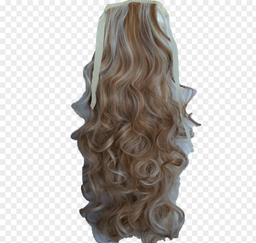 Long Hair Brown Wig Coloring PNG