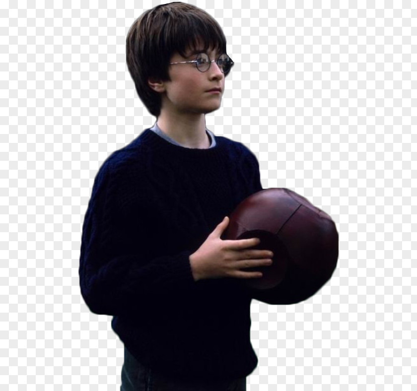 Miley Cyrus Harry Potter And The Philosopher's Stone (Literary Series) PNG