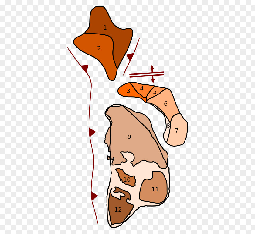 Pangea Supercontinent Columbia Congo Craton Wikipedia PNG