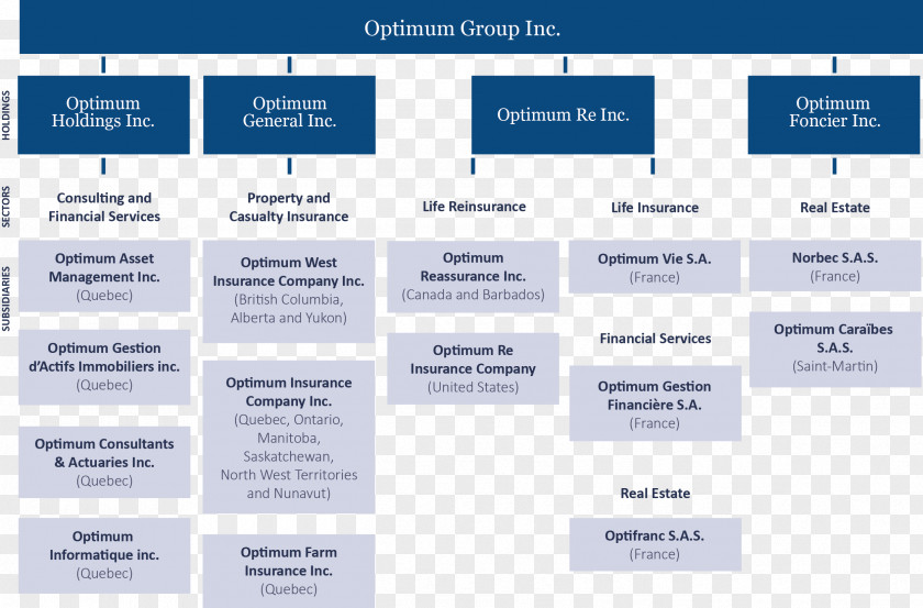 Business Organizational Chart New York Life Insurance Company PNG