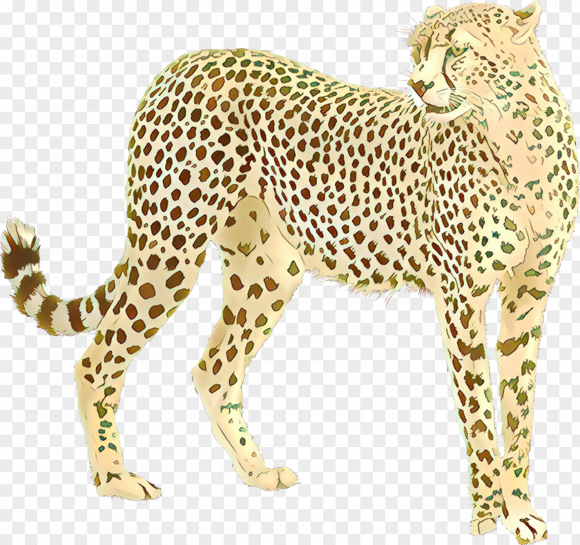Cheetah Felidae Jaguar Leopard PNG