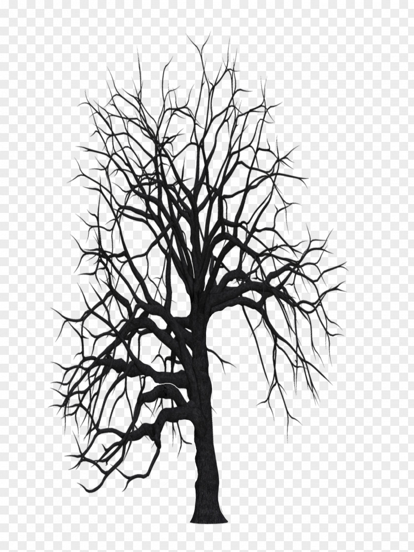 Line Art Trunk Tree Drawing PNG