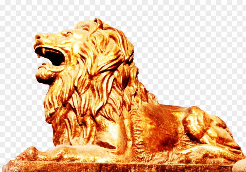 Lions Lion Download Icon PNG