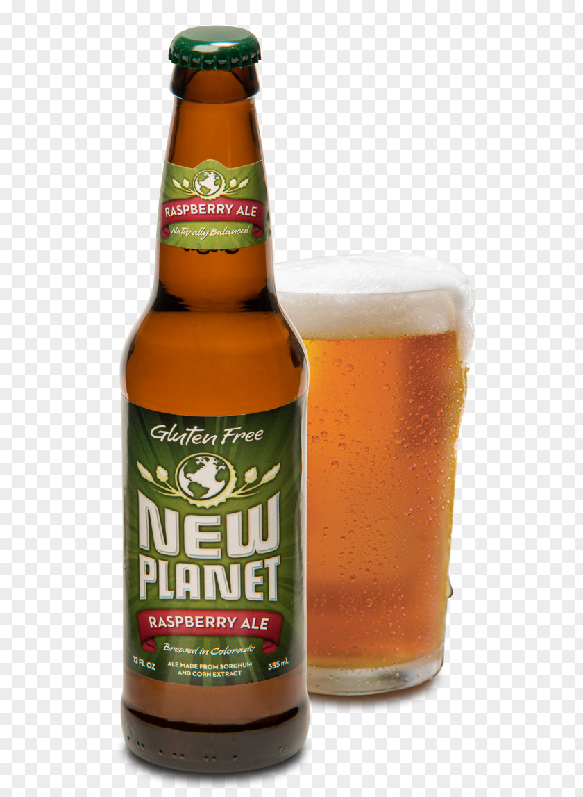 Organic Vegetable Bouillon Cubes Ale Wheat Beer Lager Bottle PNG