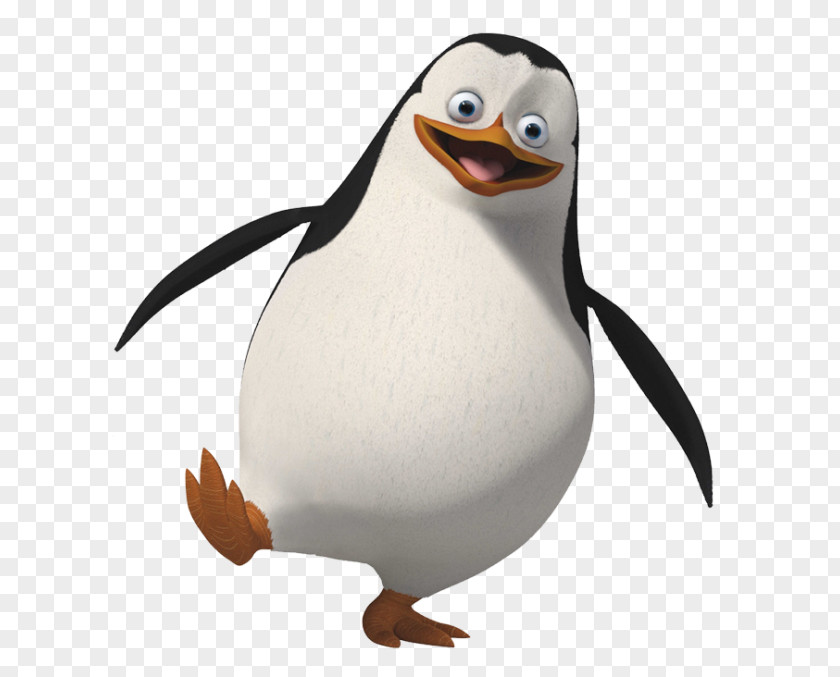 Penguin Rico Skipper Kowalski Madagascar PNG