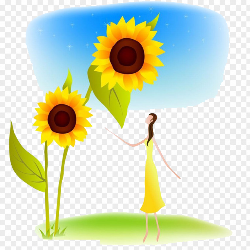 Sunflower Cartoon Common Illustration PNG