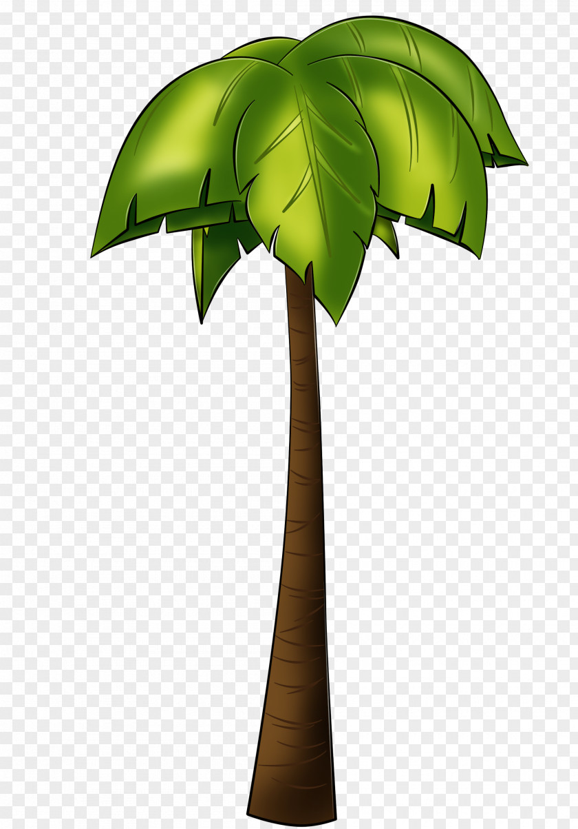 Coconut Tree Arecaceae Drawing Digital Image PNG