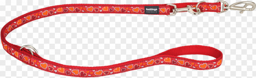 Dog Red Dingo Leash PNG