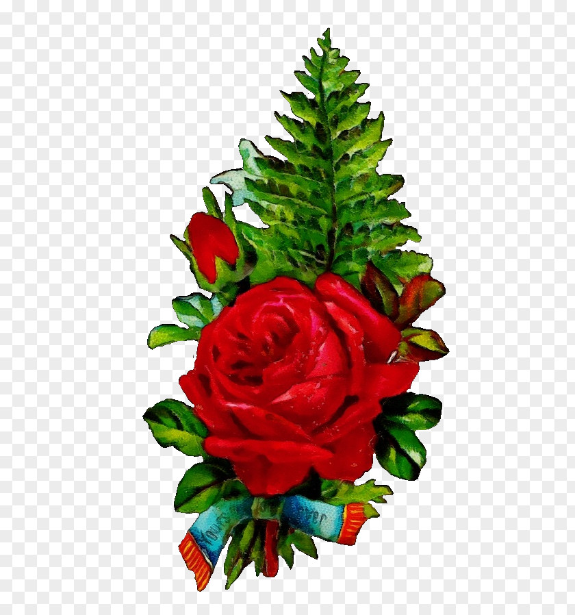 Flower Bouquet PNG