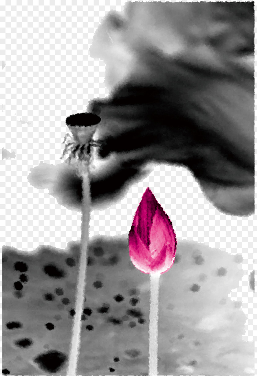 Ink Lotus China Microsoft PowerPoint Ppt PNG
