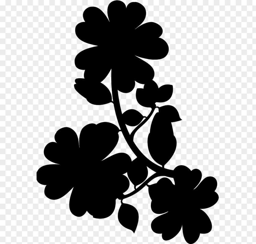 M Floral Design Leaf Petal Black & White PNG