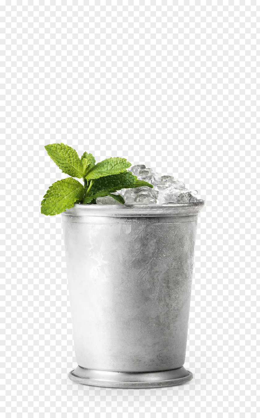 Mojito Schladerer Mint Julep Fruit Brandy Tom Collins PNG