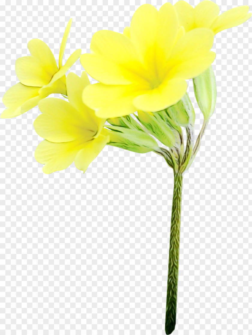 Narcissus Pedicel Artificial Flower PNG