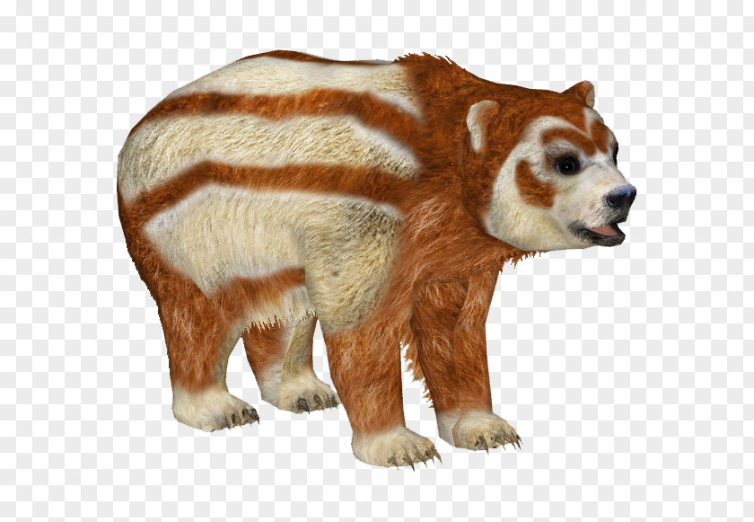 Chapalmalania Zoo Tycoon 2 Bear PNG