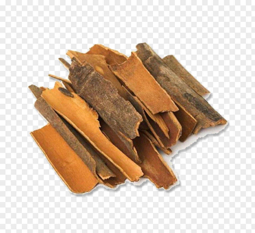 Chinese Cinnamon True Tree Spice Bark PNG
