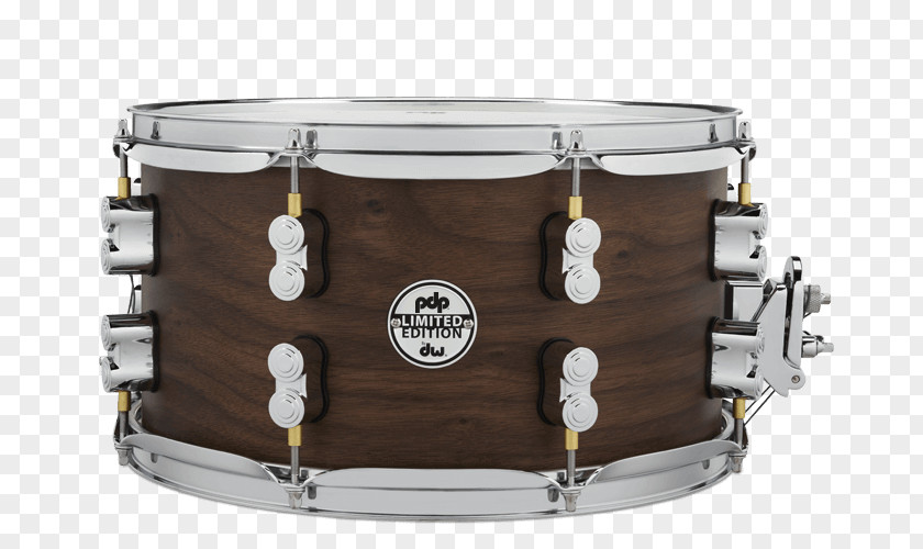 Drums Snare Timbales Tom-Toms Pacific And Percussion Drum Workshop PNG