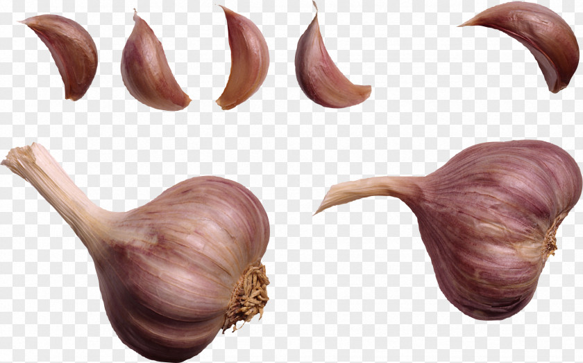 Garlic Shallot Hand Wart PNG