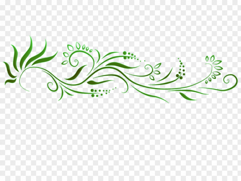 Ornament Calligraphy Flower Line Art PNG