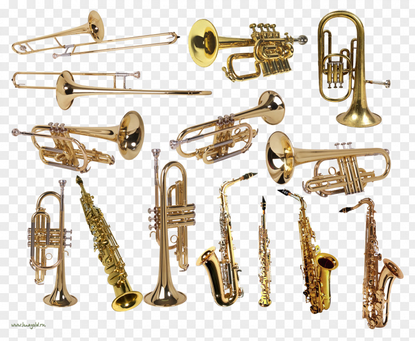 Tuba Woodwind Instrument Musical Instruments Orchestra PNG