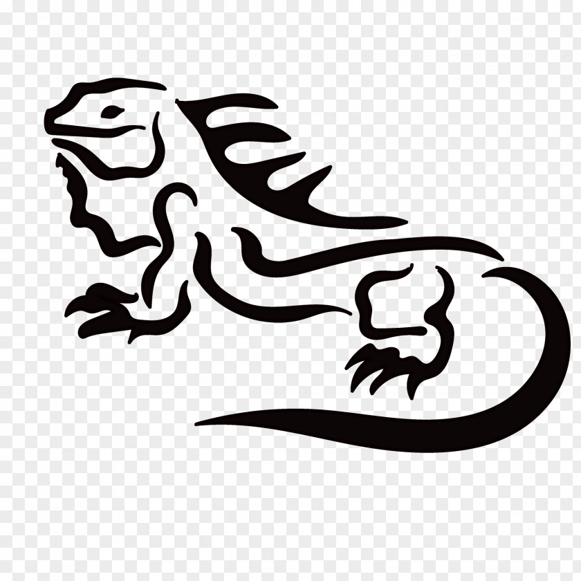 Common Iguanas Vertebrate Line Art Clip PNG