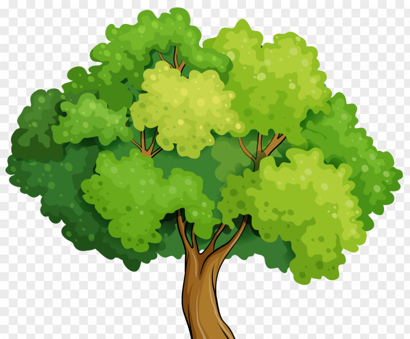 Foreground Tree Cartoon PNG