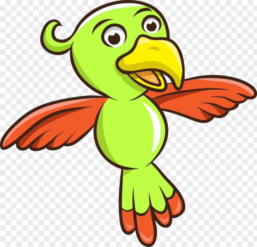 Green Parrot Duck Amazon Bird Clip Art PNG