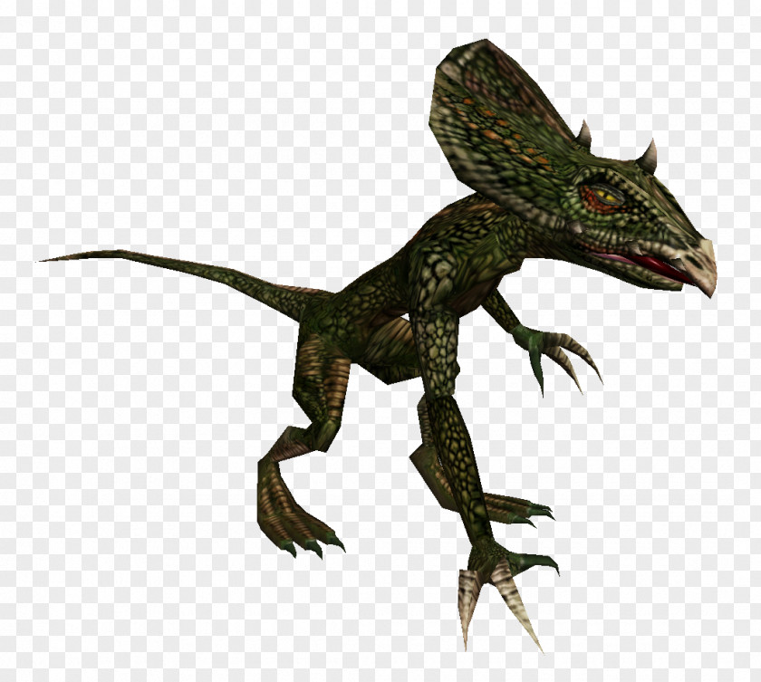 Lizard Dragon Lizards Velociraptor Fauna Terrestrial Animal PNG