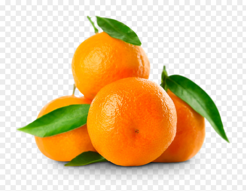 Orange Vegetarian Cuisine Mandarin Tangerine Clementine Mandarina PNG
