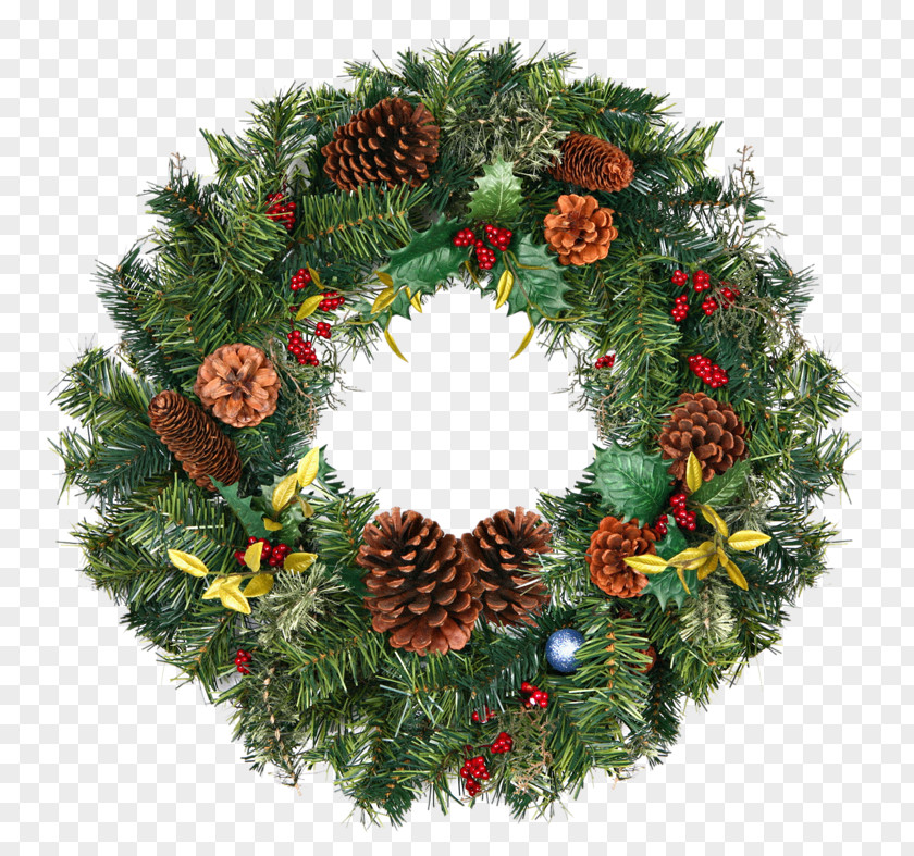 Christmas Tree Branch Wreath Day Ornament PNG