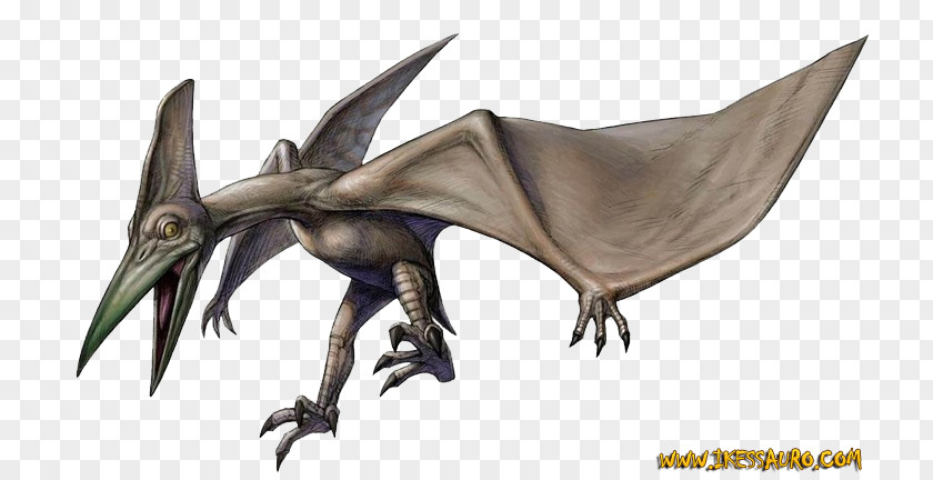 Dino Crisis 2 Pteranodon Dinosaur Game Triceratops PNG