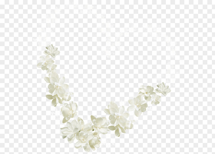 Flower White Petal Euclidean Vector Right Angle PNG