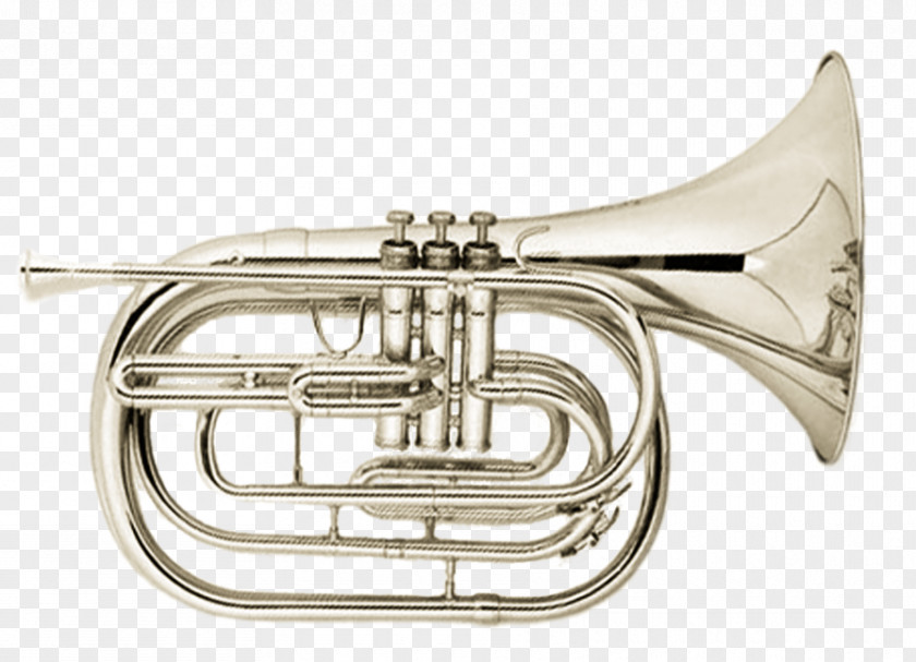 French Horn Cornet Mellophone Euphonium Saxhorn Flugelhorn PNG